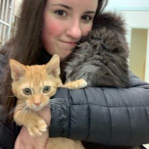 Meet your Posher, Caitlin